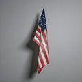 Draped Flag